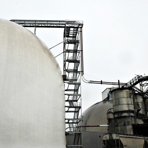 Cement bulk storage domes